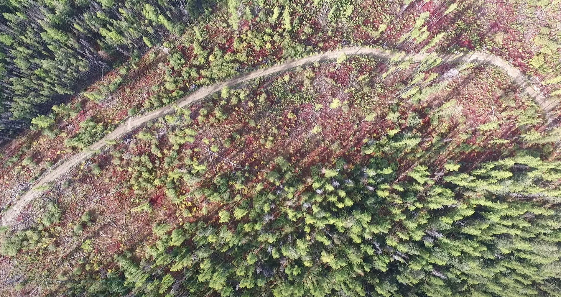 Fesbc Press Release Hpcc Wildfire Risk Reduction Harrop Procter